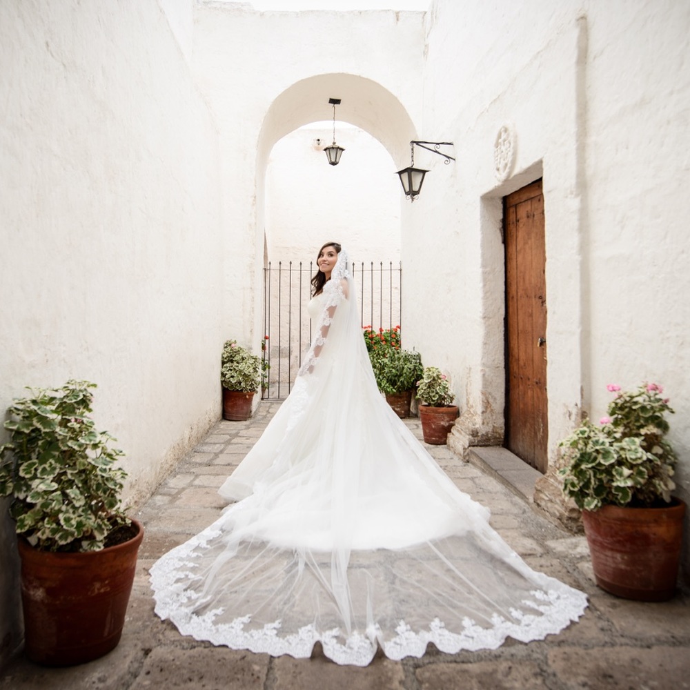 Cathedral Wedding Veil Bridal Veil